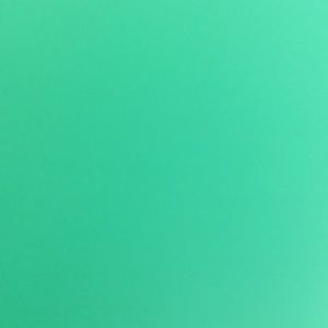 Meet your Posher, Shawna